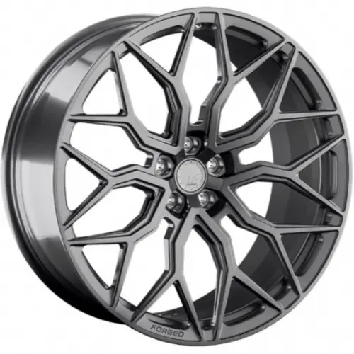 Диски  LS Forged FG13 10x22 5*112 ET20 DIA66.6 MGM Кованый купить 