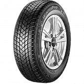 Шины GT Radial WinterPro 2 175/70 R13 82T