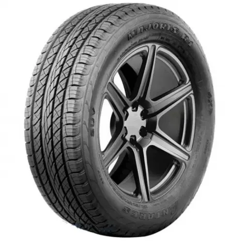 Шины  Antares Majoris R1 295/35 R21 107W купить 