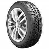 Шины RoadX RXFrost WH01 195/60 R15 88H