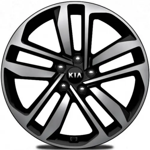 Диски  Carwel Шунет 6.5x16 5*114.3 ET41 DIA67.1 ABT Литой купить 
