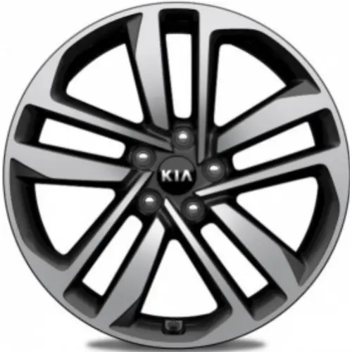 Диски  Carwel Шунет 6.5x16 5*114.3 ET40 DIA66.1 AGR Литой купить 