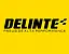 Шины Delinte