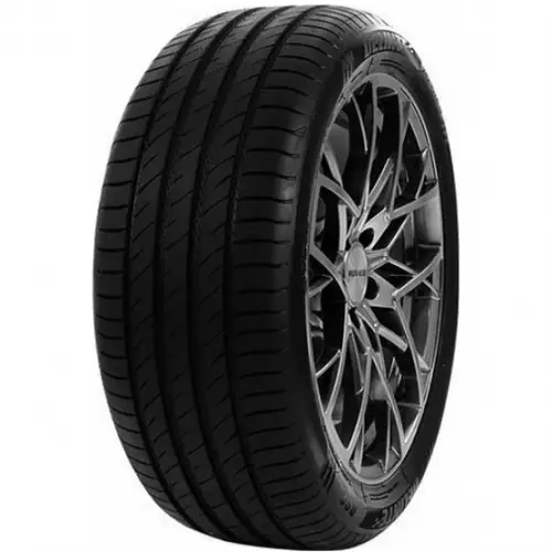 Шины  Delinte DS2 295/40 R21 111W купить 