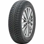 Шины Roadstone Winguard Snow G WH2 215/60 R16 99H
