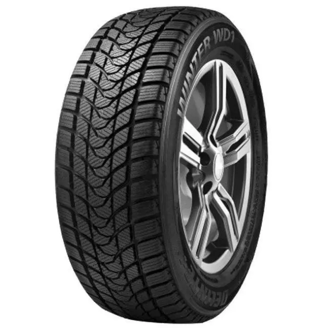 Зимние шины Delinte Winter WD1 205/65 R16 95T 