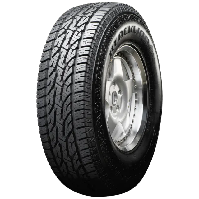 Летние шины Blacklion Voracio BA80 245/60 R18 105T 