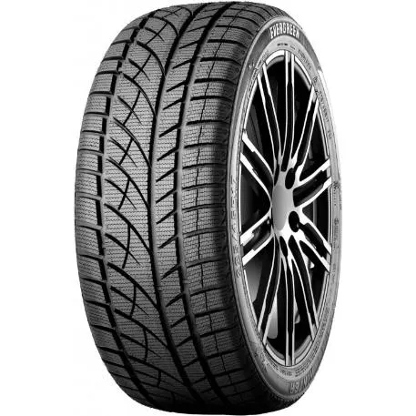 Шины  Evergreen Winter EW66 225/55 R16 99H купить 