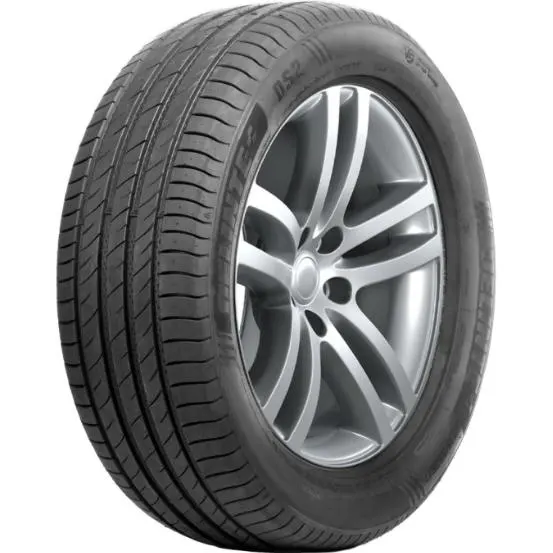 Шины Delinte DS2 285/40 R21 109W