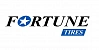 Шины Fortune